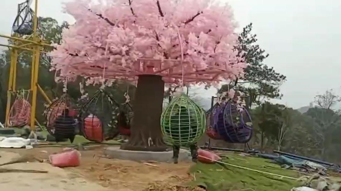 网红许愿树